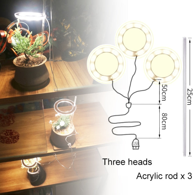 Angel Three Ring Grow Light DC5V USB Phytolamp For Plants Led Full Spectrum Lamp For Indoor Plant Seedlings Home Flower Succulet