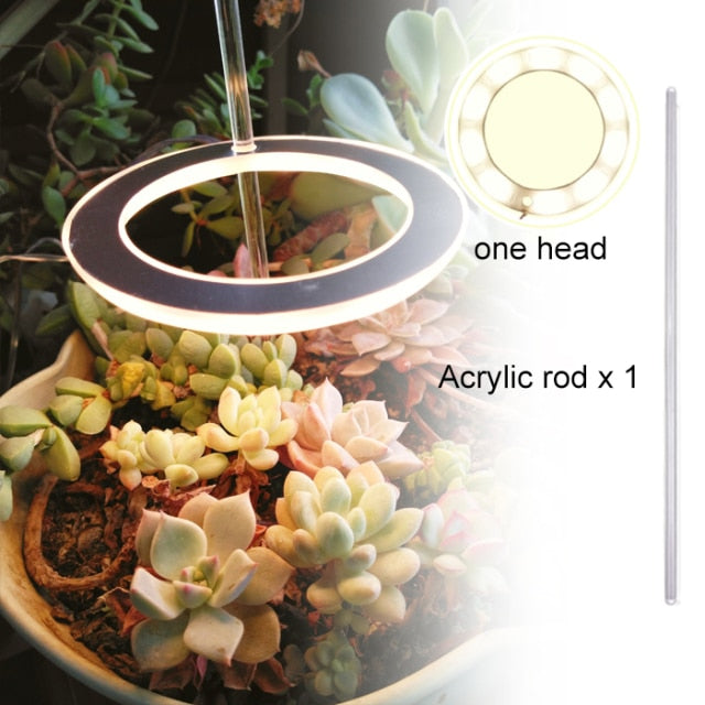 Angel Three Ring Grow Light DC5V USB Phytolamp For Plants Led Full Spectrum Lamp For Indoor Plant Seedlings Home Flower Succulet